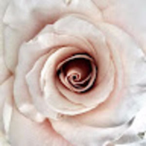 Meet your Posher, Elaina